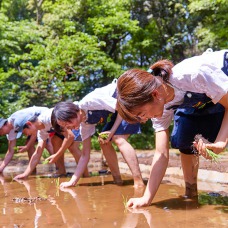 シブヤの真ん中「明治神宮の森」で実践！
日本の米作り（※18歳〜35歳対象）